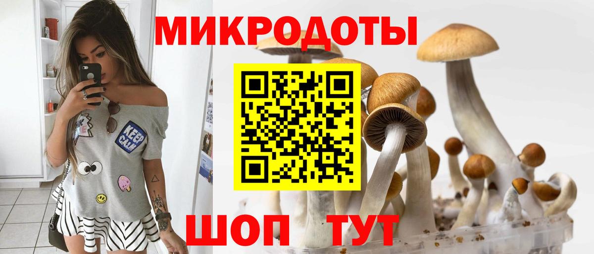 Псилоцибиновые грибы MAGIC MUSHROOMS  Вход с VPN  Шадринск  Галлюциногенные грибы Magic Shrooms 